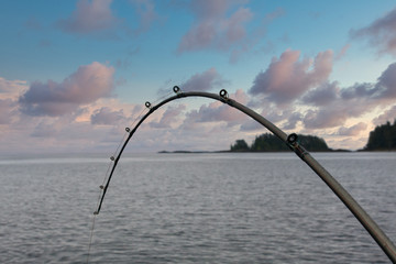 A fishing pole bent with a fish on the line