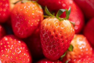 strawberries on black background