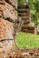 THAILAND KAMPHAENG PHET HISTORICAL PARK