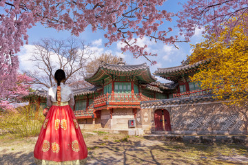 Changdeokgung Palace with Korean national dress and cherry blossom in spring,South Korea