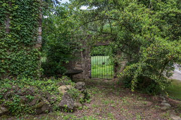  Old place with a nature gate in the forest