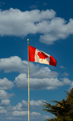 A Canadian flag flying on a flagpole under clear blue sky