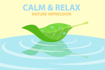 Minimal colorful inforgraphics of beautiful nature impression displaying a leaf with raindrop afloat on a water with its reflection