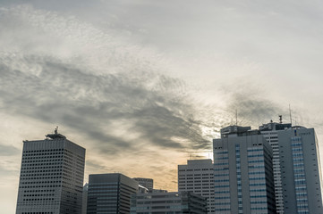 Fototapeta na wymiar 夕暮れ時の東京都新宿区西新宿の高層ビル群