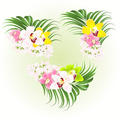 Tropical Hibiscus white  yellow red and orchids Cymbidium  pink  flowers and Monstera and palm  watercolor on a white background vintage vector illustration editable hand draw