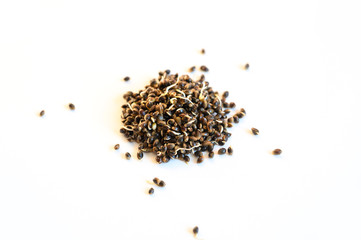 a pile of sprouted food hemp seeds isolated on a white background