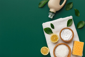 Eco substitutes products for washing, zero waste lifestyle
