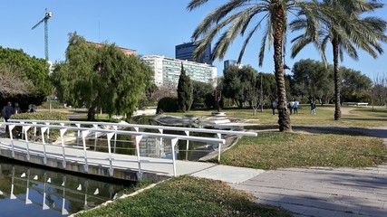 nature sea mountantains citi