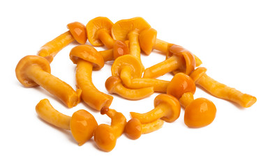 red pickled honey mushrooms isolated