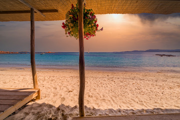 Palombaggia, Porto vecchio, Corse, plage, mer, arbre, île, océan, tropical, eau, sable, paysage, ciel, bleu, nature, côte, palme, été, beau, paradis, voyage, vacances, vacances, grèce, pin, caraïbe, a