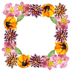 Beautiful floral pattern of guzmania, tulip and alstroemeria. Isolated