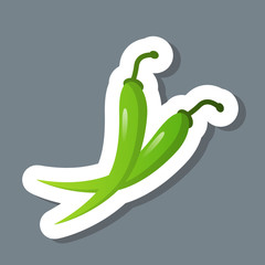 fresh green chili pepper sticker tasty vegetable icon healthy food concept vector illustration