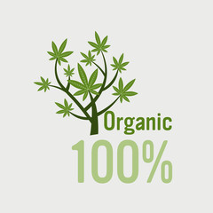 medical cannabis plant marijuana bush organic hemp leaves ganja legalize drug consumption concept vector illustration