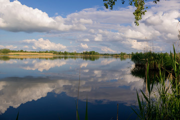 Lake with reeds and sky reflected in the water