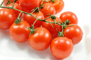 Beautiful natural vegetables tomatoes on a branch