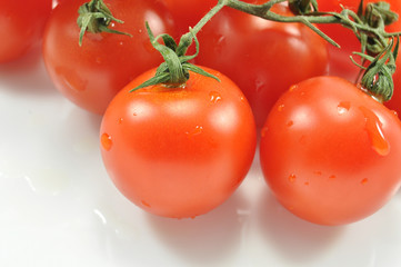 Beautiful tomatoes on a white background