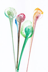 Art Abstract Flowers .Hand watercolor painting on paper.