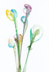Art Abstract Flowers .Hand watercolor painting on paper.
