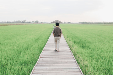 Young traveler Wooden Bridge walking on a wooden walkway through a green paddy field.Beautiful view of jasmine rice field and blue sky from bamboo walkway. Landscape with bamboo bridge.