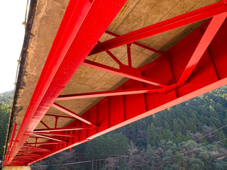A bridge over a Japanese river.
