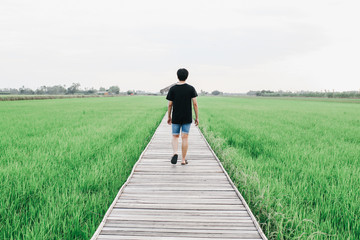 Young traveler Wooden Bridge walking on a wooden walkway through a green paddy field.Beautiful view of jasmine rice field and blue sky from bamboo walkway. Landscape with bamboo bridge.
