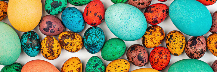 Stylish background with colorful quail, easter eggs with copy space for text isolated on white background. Flat lay, top view, mockup, overhead, template