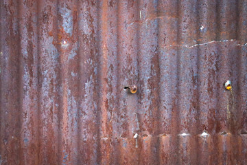 Zinc wall background and texture