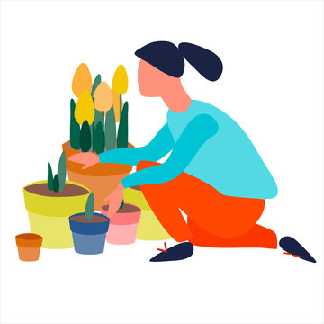 Young woman planting flower seedlings vector illustration in flat style. Spring gardening work concept. Plug plants sales advertisement
