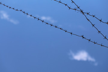Background of barbed wire against the sky. A barbed wire crosses the blue sky with white clouds. Horizontal, free space, close-up, cropped shot. Law enforcement concept.