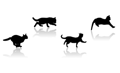 Cats silhouette, vector file