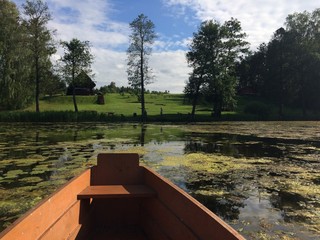 Nature 2017