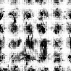 Halftone Pattern. Set of Dots. Dotted Texture on White Background. Overlay Grunge Template. Distress Linear Design. Fade Monochrome Points. Pop Art Backdrop.