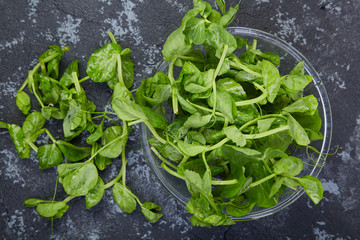 A pile of fresh pea heads