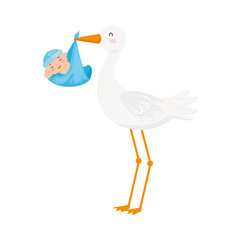 stork with cute baby boy vector illustration design