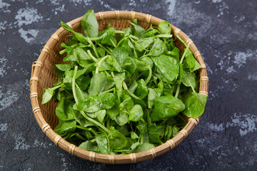 A pile of fresh pea heads