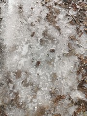 Melted snow in the spring with brown leaves, spring in March.The ice on the puddles.Little snow on the ground.Spring in the countryside.Wet earth.The dry grass under the snow.Close up
