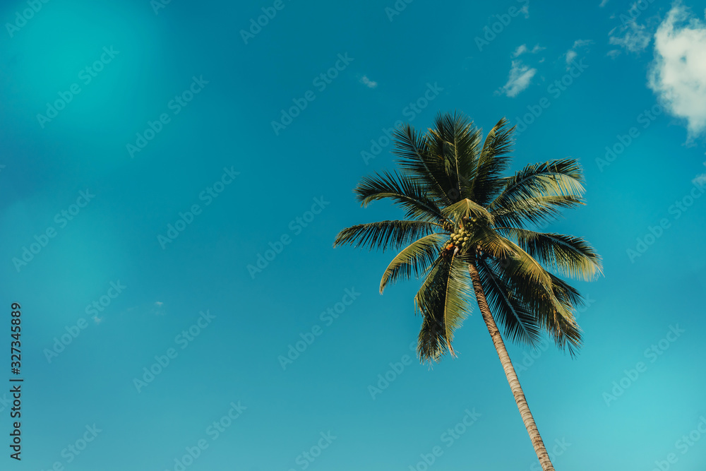 Wall mural coconut tree and sky with clouds, vintage effect.