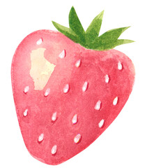 Strawberry. Cartoon style hand drawn watercolor illustration isolated on white.
