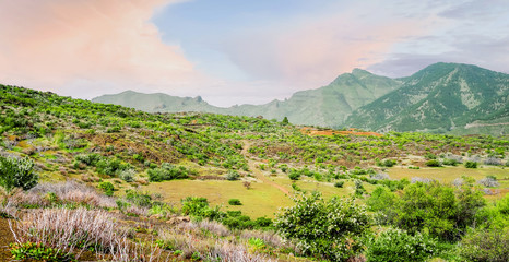 Obraz premium rider on horseback ride in lush nature