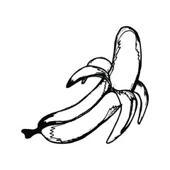 Banana hand drawn doodle style icon vector illustration