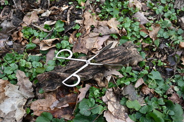 A forgotten silver cake scissors on an old piece of wood surrounded by autumn leaves in a forest in Berlin-Germany.