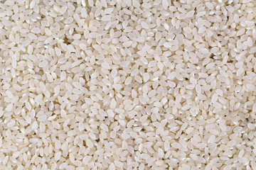 Top view of Japanese uncooked raw short grain rice