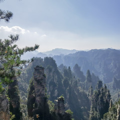 Zhangjiajie cliff mountain at Wulingyuan national forest park , China.