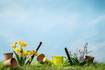 Narcissus and snowbell flower with garden tools in spring grass with sky