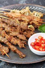 Delicious lamb kebab
