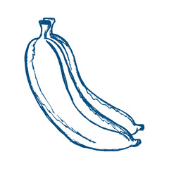 Banana hand drawn on blue color vector illustration