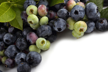 Blueberries background. Berries and leaves
