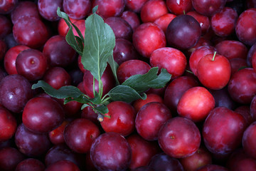 Red plums and leaves background