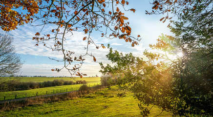 Fototapeta premium Silent Forest in spring with beautiful bright sun rays