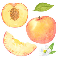 Peach clipart set. Hand drawn watercolor illustration isolated on white, cartoon style. © Victoria Ki